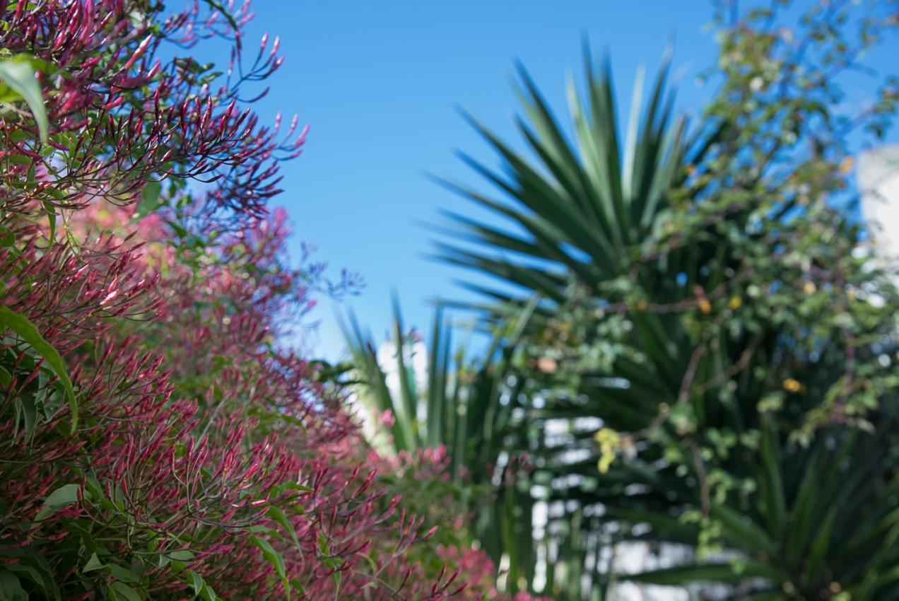 Flat With A Garden In Belem Daire Lisboa Dış mekan fotoğraf